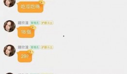 最新娱乐吃瓜网站大全,揭秘娱乐圈最新动态，一网打尽热门八卦！