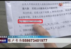 武汉市李先生最新爆料,揭秘武汉某神秘事件真相