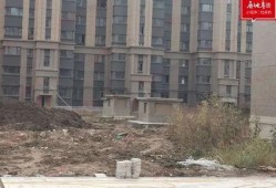 长春房子最新爆料,揭秘最新房价走势与热门楼盘爆料