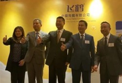 飞鹤最新爆料消息视频大全,揭秘幕后真相与精彩瞬间