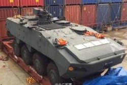 网友爆料装甲车事件视频,真相揭秘，现场直击