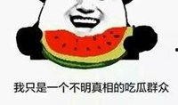 娱乐吃瓜酱微信头像图片,揭秘明星幕后故事，带你领略娱乐圈风云变幻