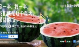 免费吃瓜文案怎么写啊,揭秘娱乐圈幕后故事