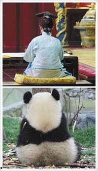 娱乐吃瓜群众歌曲,揭秘娱乐圈背后的“瓜”事