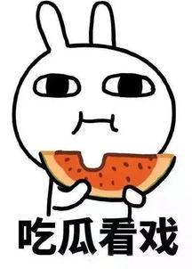 吃瓜群众娱乐巴,揭秘娱乐圈幕后故事